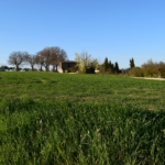 umbrian dream